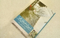 معرفی کتاب / شیراز خیابان افرا